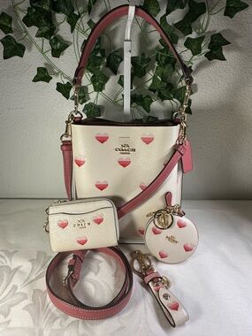 Coach Limited Edition Mollie Pink Chalk Striped Heart Bucket Bag-4 Item Bundle